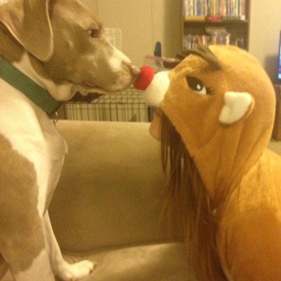 Meet your Posher, Juliana - Picture 1 of 1